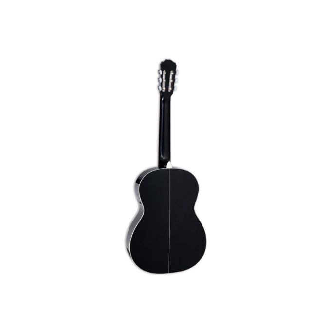 Takamine 231028