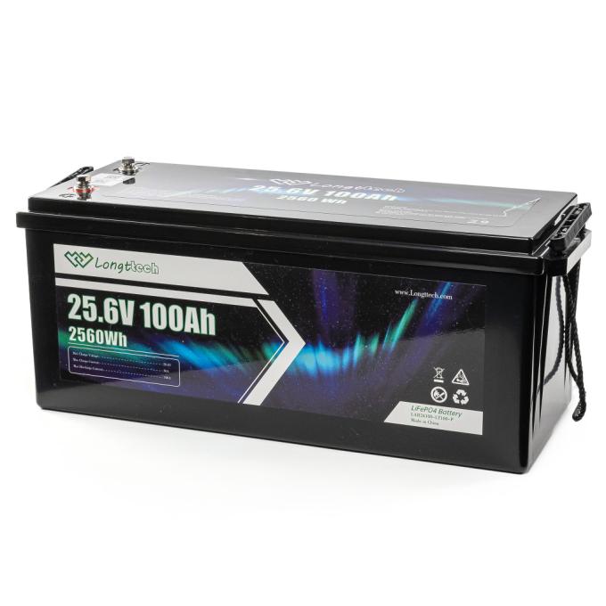 Longttech LAR24100-LT160-P