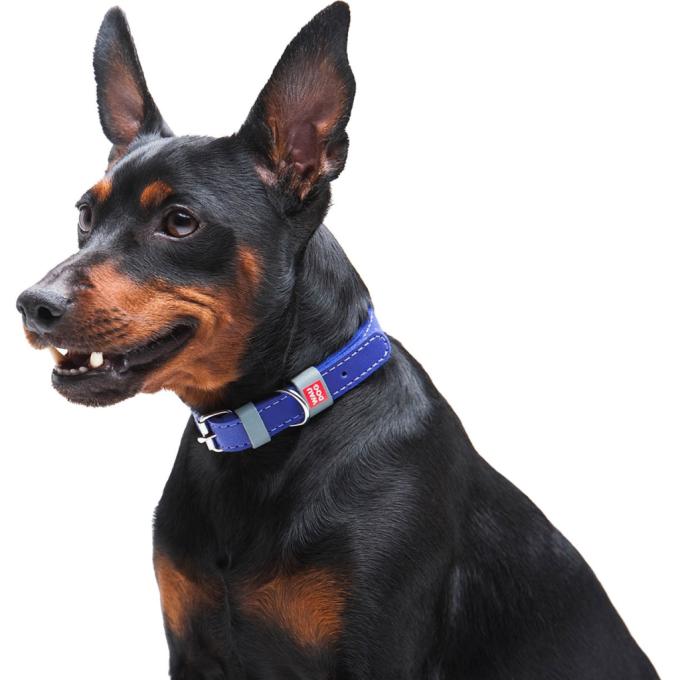 WAUDOG 02029