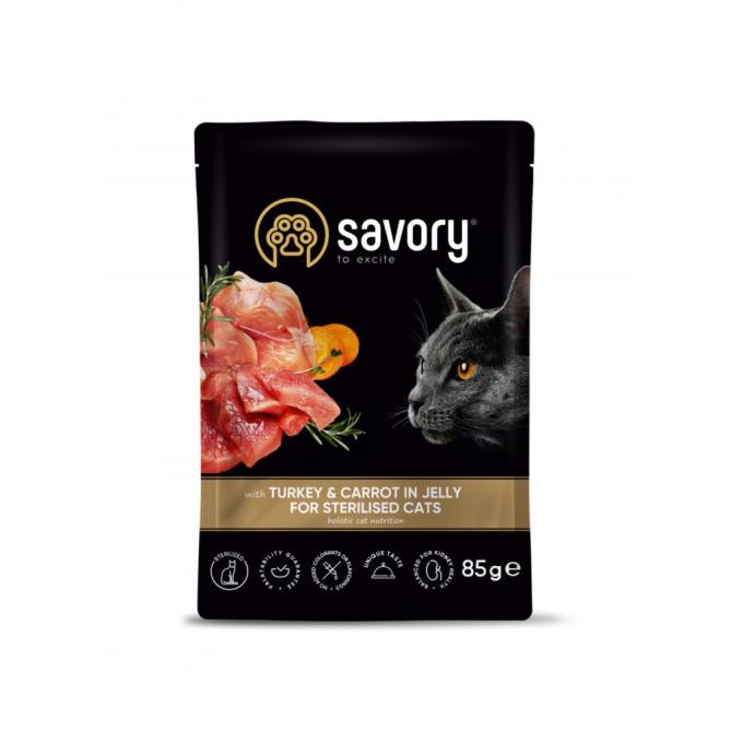 Savory 4820261920109
