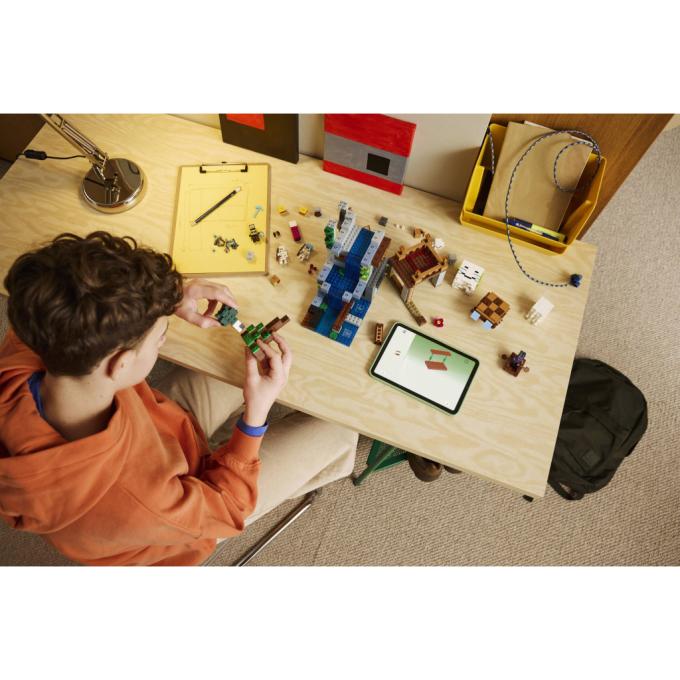 LEGO 21597