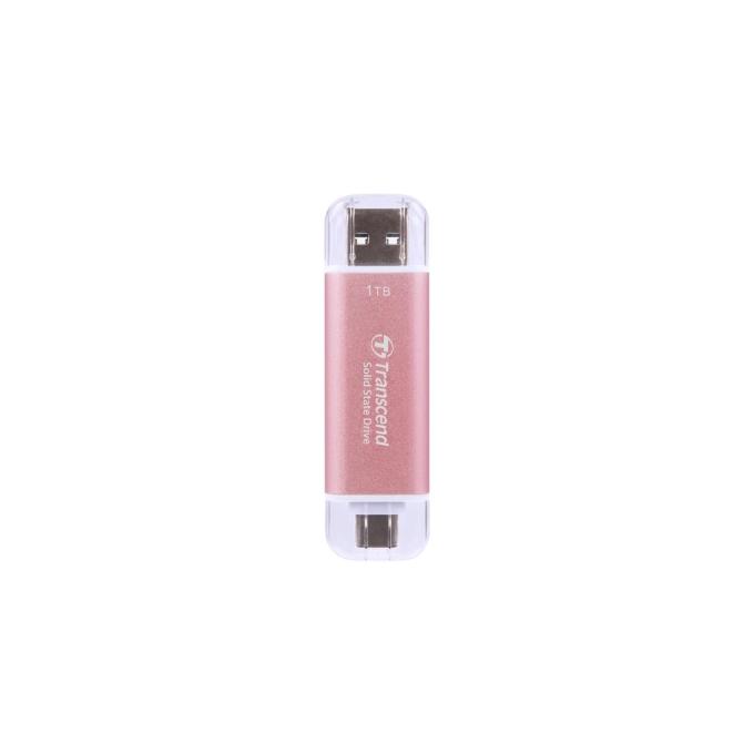 Transcend TS1TESD310P