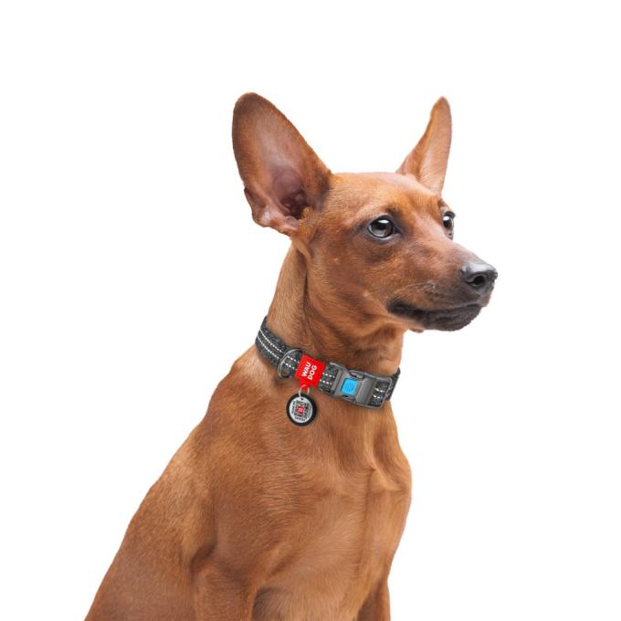 WAUDOG 029211