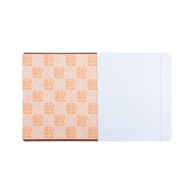 Kite ML25-236