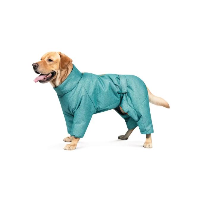 Pet Fashion 4823082425365