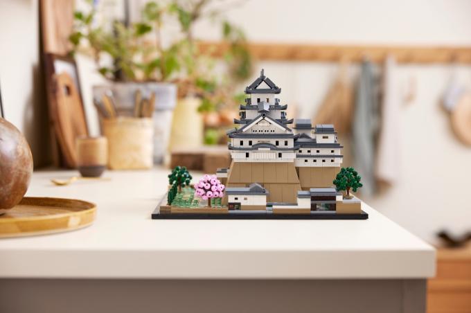 LEGO 21060