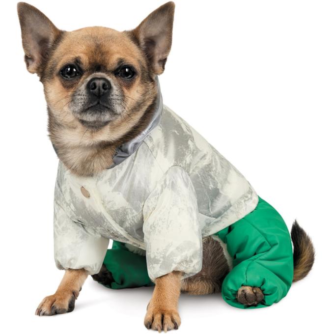 Pet Fashion 4823082427970