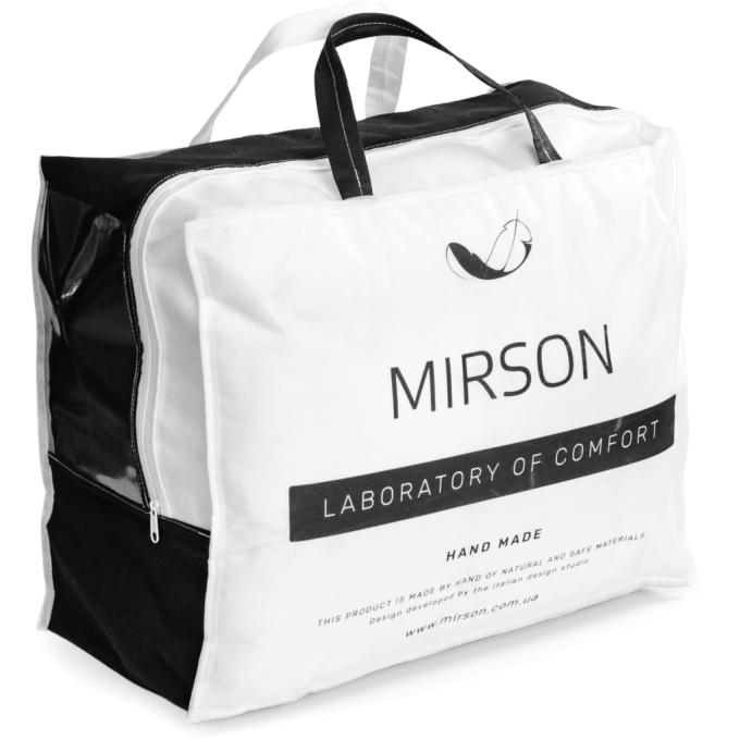 MirSon 2200001537224