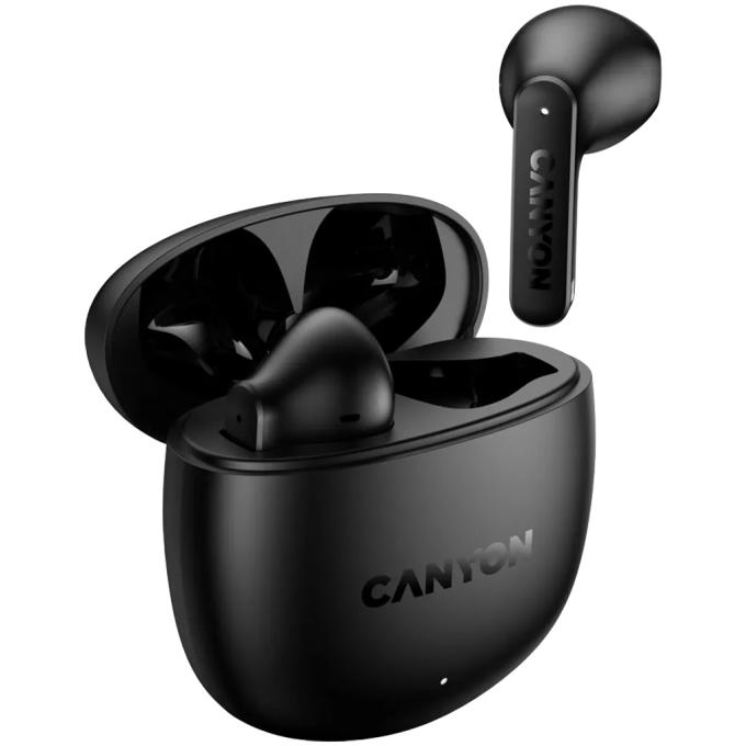 Canyon CNS-TWS13B