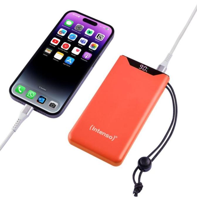 Intenso 7332038