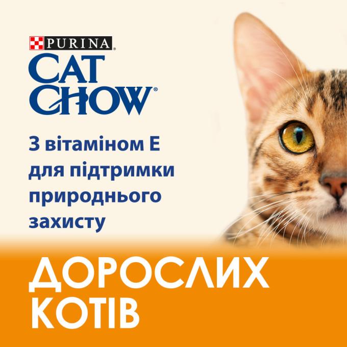 Purina Cat Chow 7613035394117