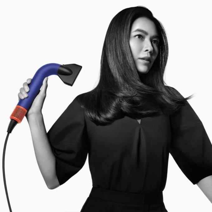 Dyson 522266-01