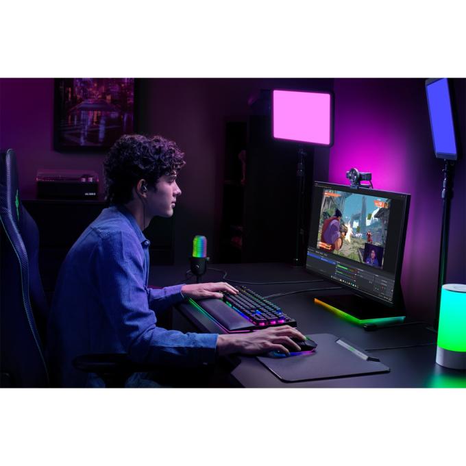Razer RZ19-05370100-R3M1