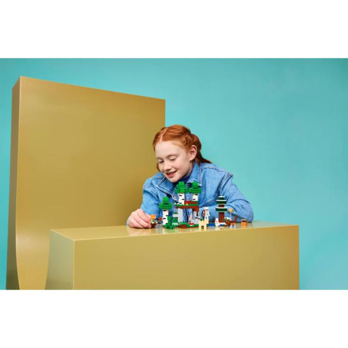 LEGO 21593