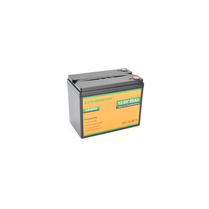 Dyness Eco-Worthy-1250