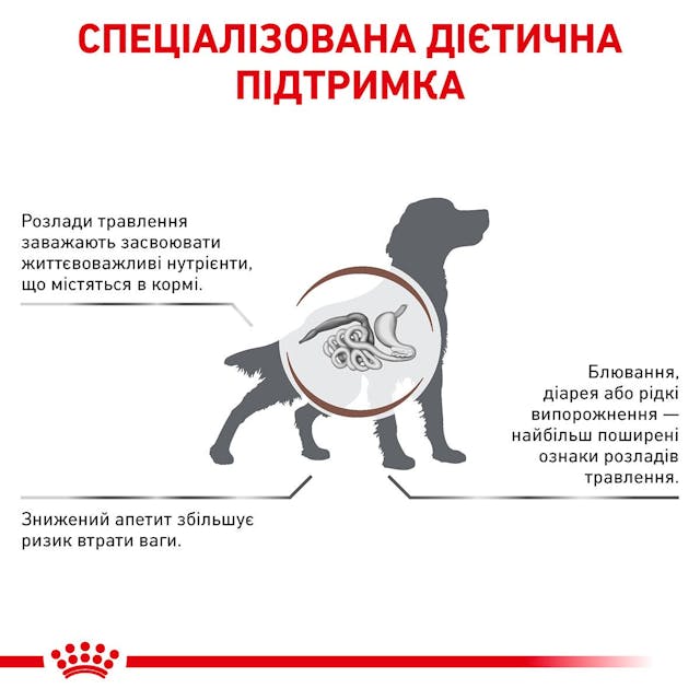 Royal Canin 39110201
