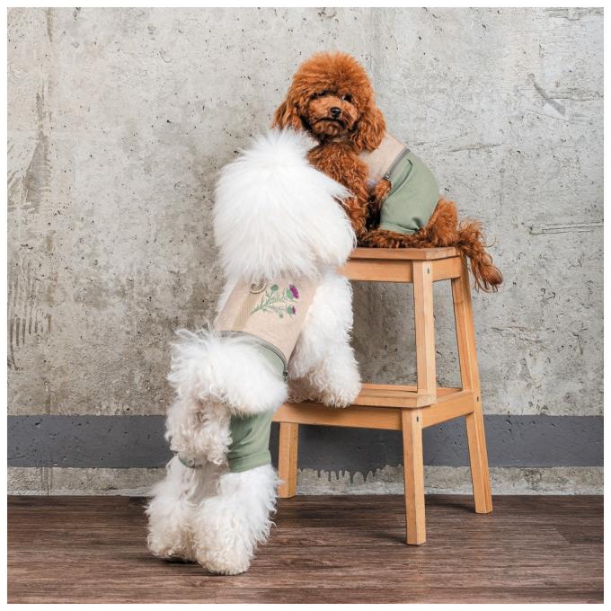 Pet Fashion 4823082434404