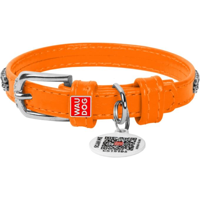 WAUDOG 33064