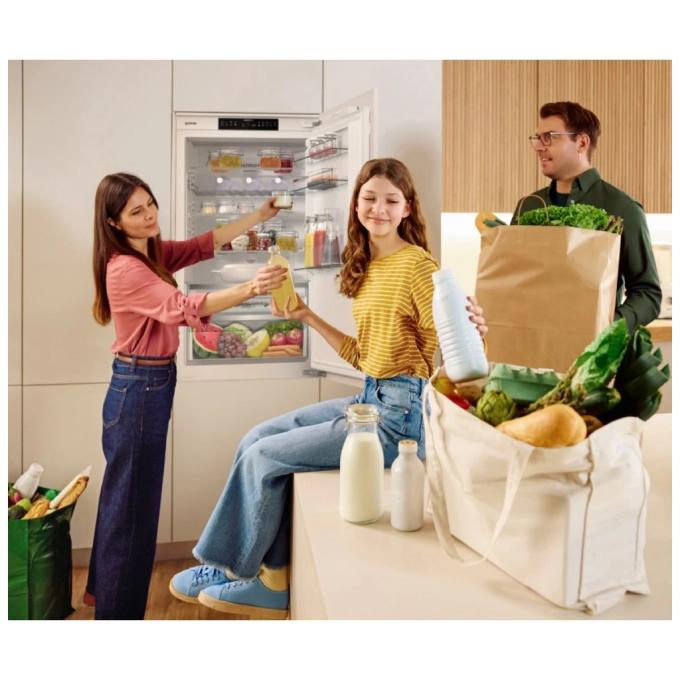 Gorenje NRKI619D61WFE