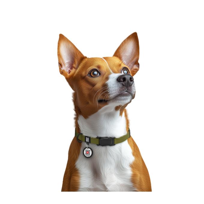 WAUDOG 279431