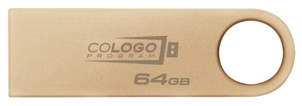 Kingston DTSE9G3/64GB