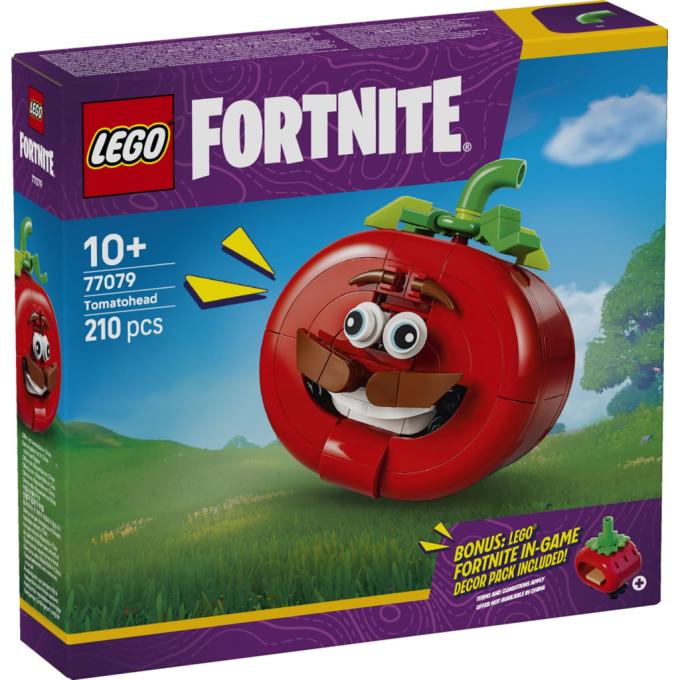 LEGO 77079