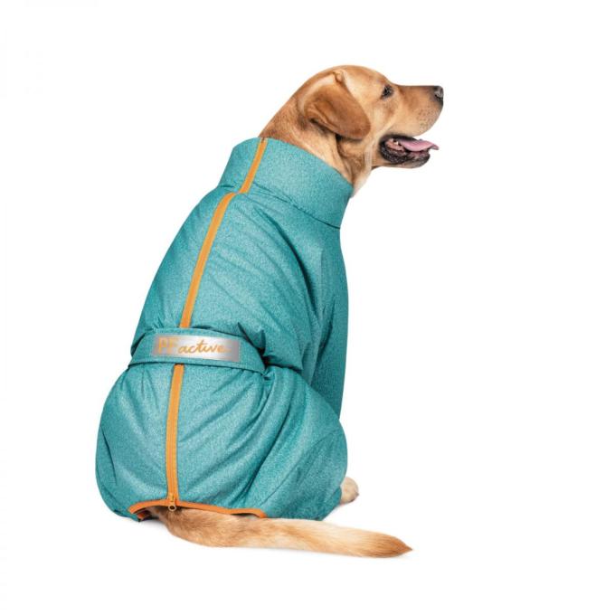Pet Fashion 4823082426058