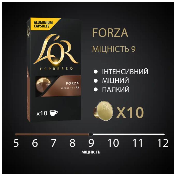 L'OR 8711000357934
