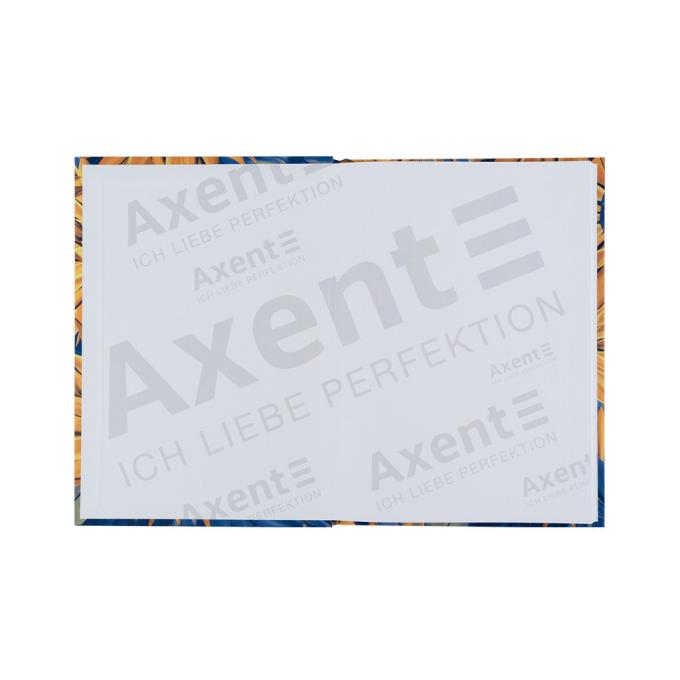 Axent 8455-3-A
