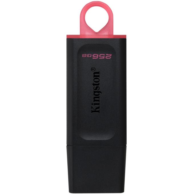 Kingston DTX/256GB