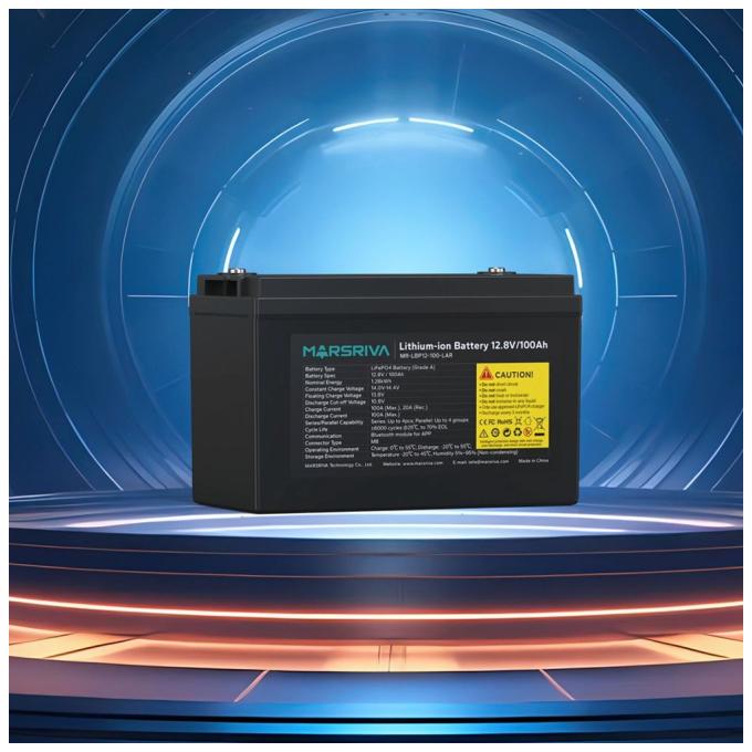 Marsriva MR-LBP12-100-LAR