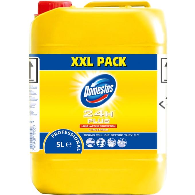 Domestos 7615400179756