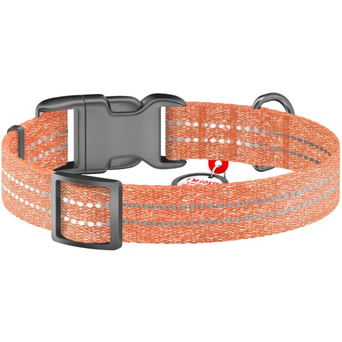 WAUDOG 02884