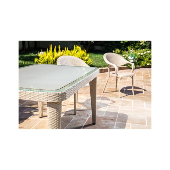 Tilia 10059