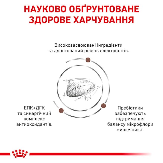 Royal Canin 39050201