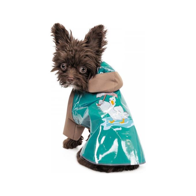 Pet Fashion 4823082434497