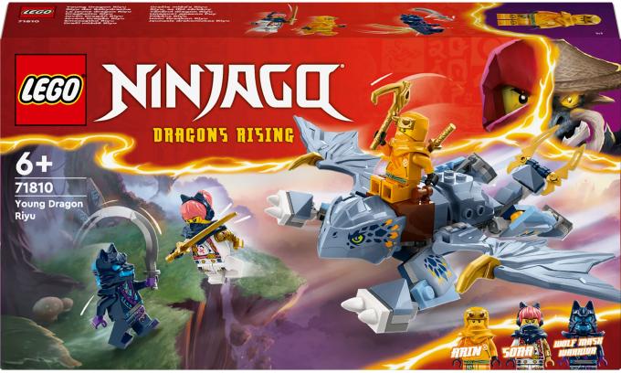 LEGO 71810