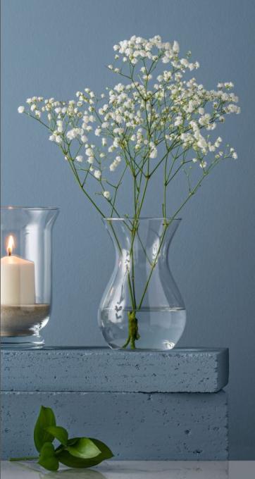 TRENDGLASS 35445