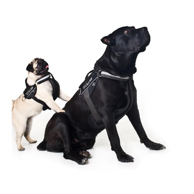 Dog Extreme 07051