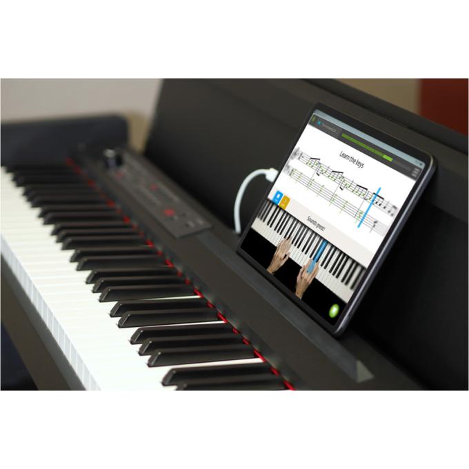 Korg 230654