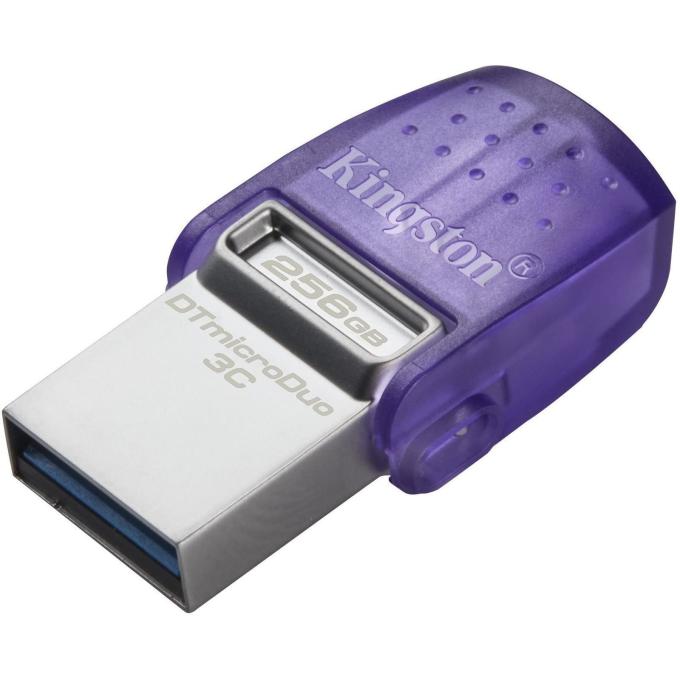 Kingston DTDUO3CG3/256GB