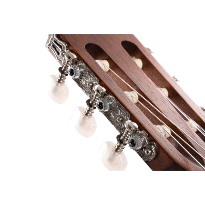 Cort AC100 OP