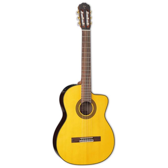 Takamine 221976