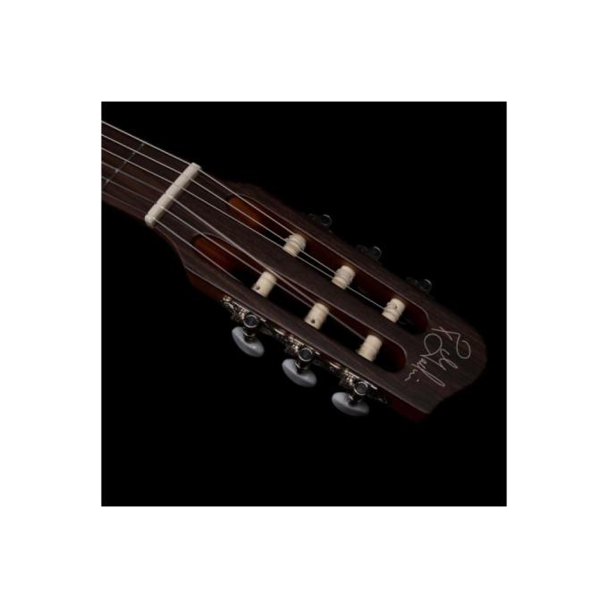 Godin 235917