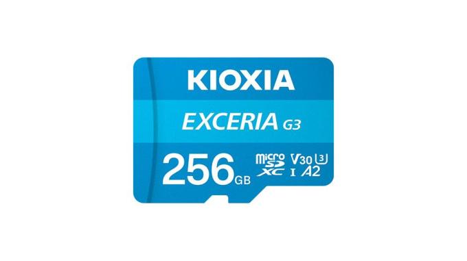 Kioxia LMEX3L256GG2