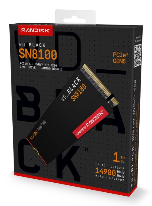 SANDISK WDS100T1X0M