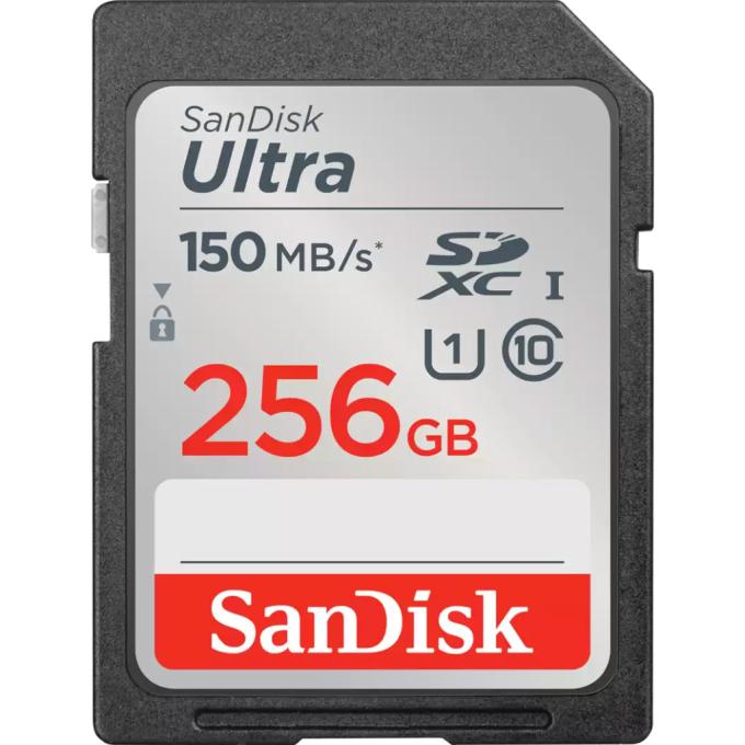 SANDISK SDSDUNC-256G-GN6IN