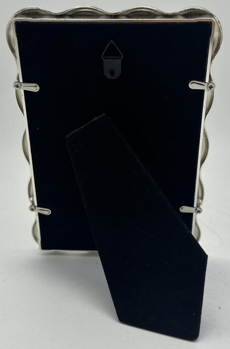EVG 10X15 Z02 Silver