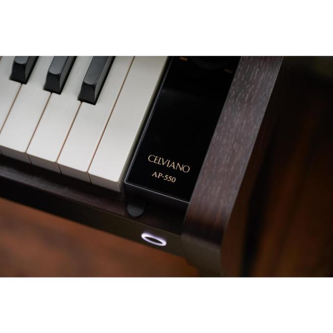 Casio 363167