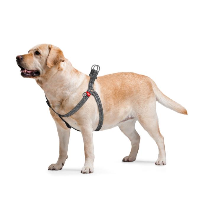 WAUDOG 032411
